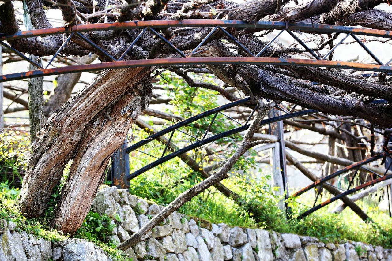 Il Raduno Villa Tramonti Exterior foto
